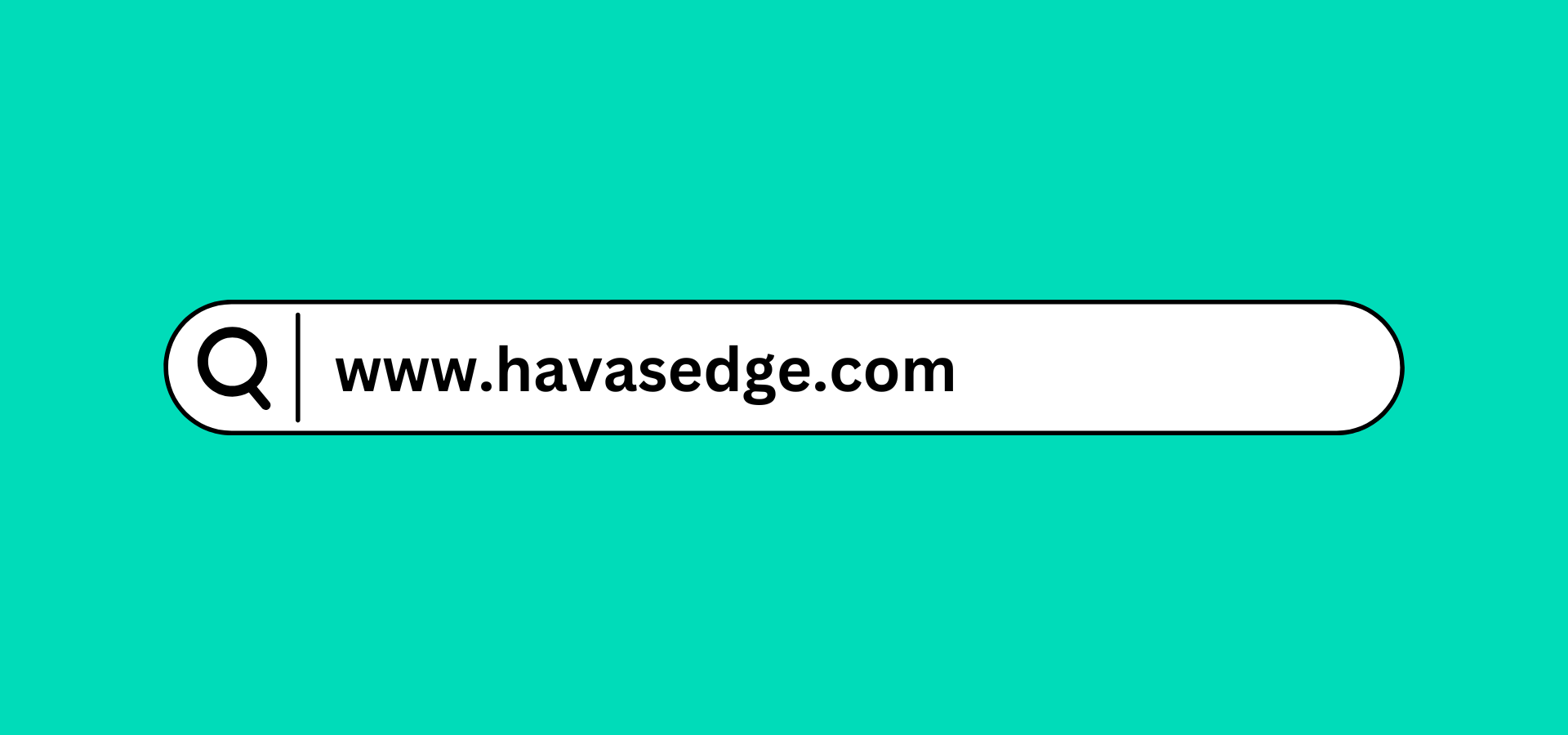 A search engine toolbar with the phrase "www.havasedge.com" typed into it