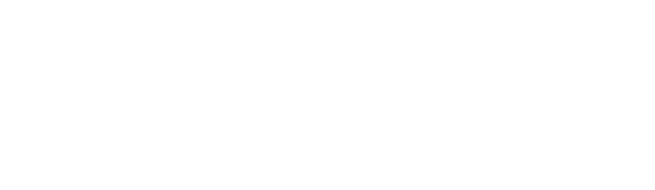 Norton Lifelock logo